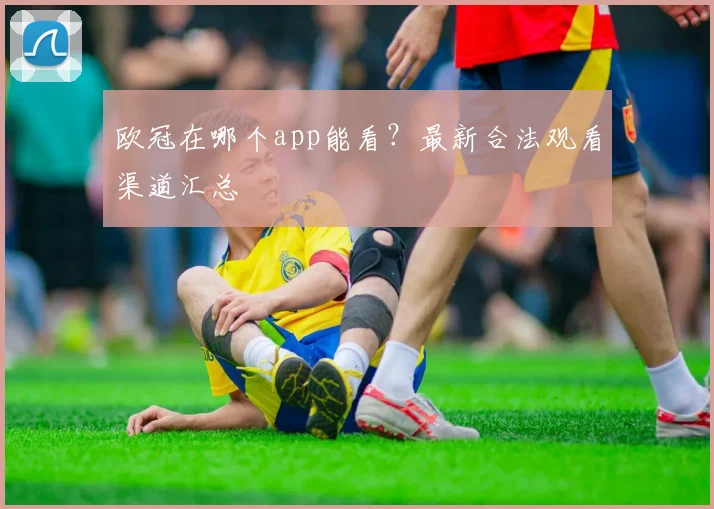 欧冠在哪个app能看？最新合法观看渠道汇总
