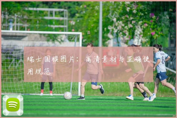 瑞士国旗图片：高清素材与正确使用规范