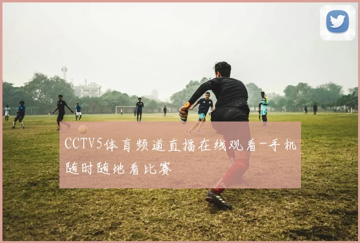 CCTV5体育频道直播在线观看-手机随时随地看比赛