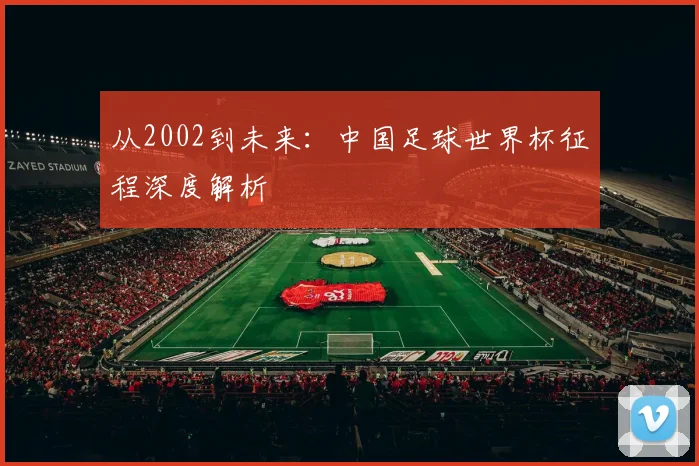 从2002到未来：中国足球世界杯征程深度解析