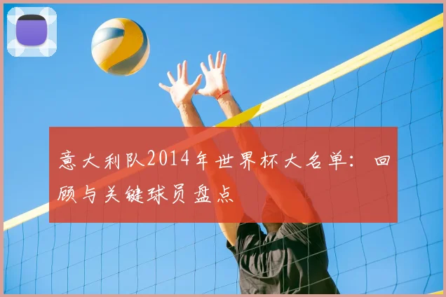 意大利队2014年世界杯大名单:回顾与关键球员盘点