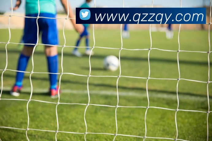 葡萄牙欧洲杯2015征程回顾：关键场次、阵容调整与晋级影响分析